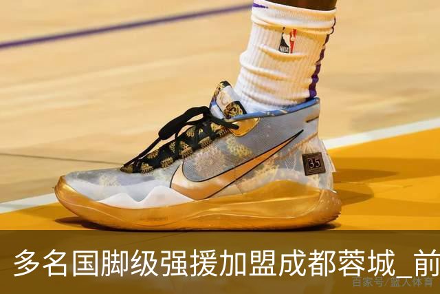 多名国脚级强援加盟成都蓉城 前场还有进人空间